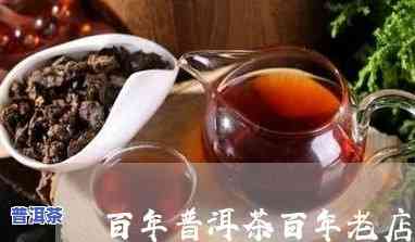 百年普洱茶百年老店-百年普洱茶多少钱