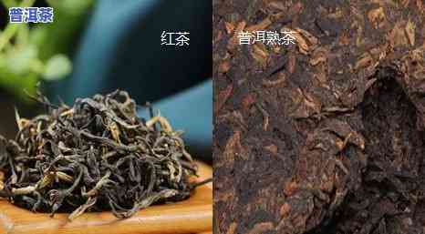 怎么分辨红茶和普洱-怎么分辨红茶和普洱茶