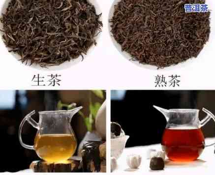 生普洱茶是不是绿茶？澄清误解，熟悉真相