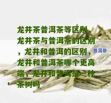 龙井茶与普洱茶有什么区别吗，探索龙井茶和普洱茶的不同之处：一次深入的比较