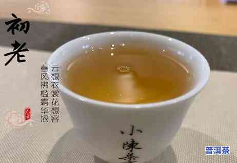 普洱茶和岩茶哪个更好喝一点一点的，普洱茶与岩茶：口感对比，谁更胜一筹？