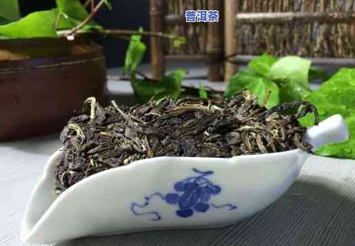 普洱茶代理的坑，深度解析：普洱茶代理的陷阱与风险