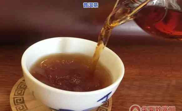 可靠的熟普洱茶代理-知名普洱茶代理条件