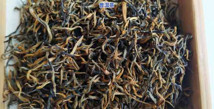 滇红茶是普洱茶的一种吗，揭秘：滇红茶是不是属于普洱茶范畴？