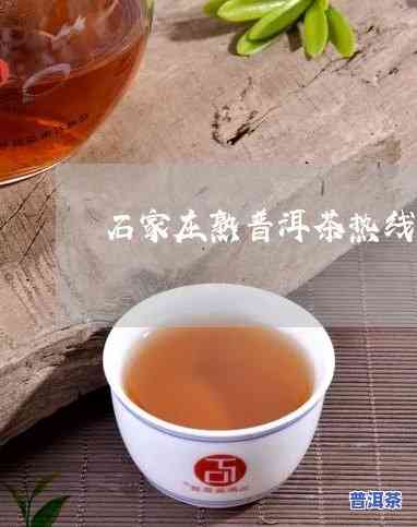 石家庄熟普洱茶招商电话，石家庄熟普洱茶招商，热线电话等你来拨打！