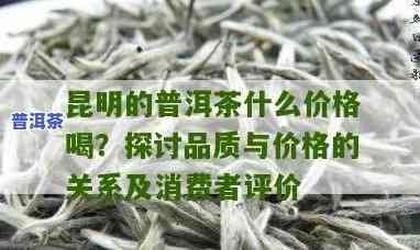 昆明买普洱茶的价位，昆明普洱茶购买指南：价格区间解析