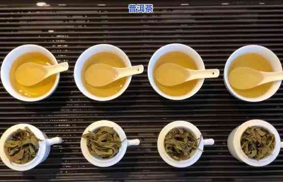 泉州普洱茶生产厂商，探寻优质茶叶来源：泉州普洱茶生产厂商全览