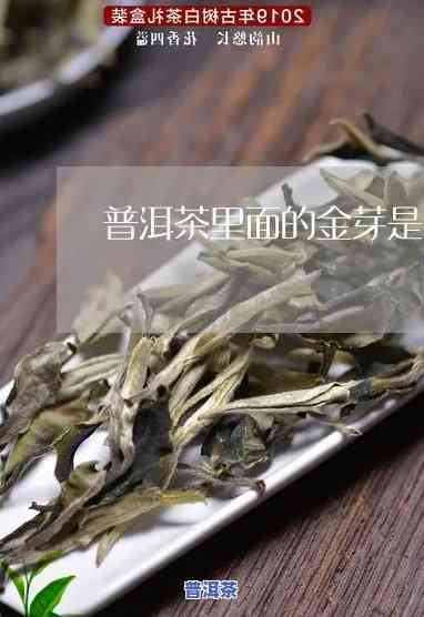 有金毫和没金毫的普洱茶有何区别？看图对比解答