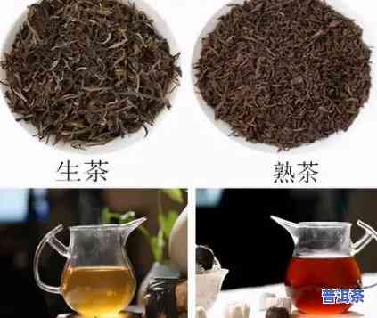 普洱茶中的金毫是什么？详解其特性和含义