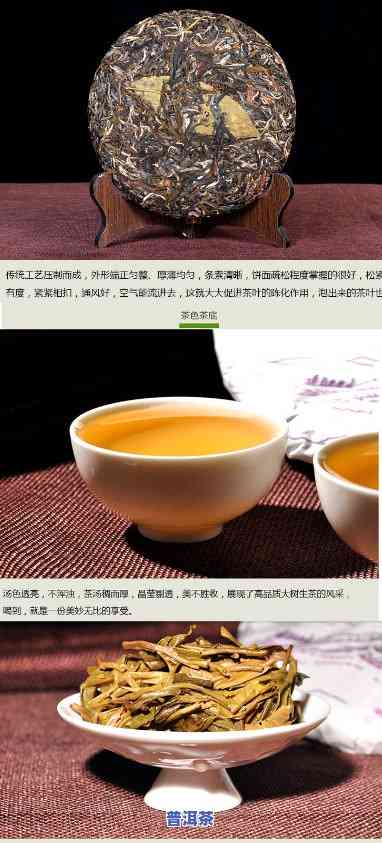 悠味普洱茶测评分析：顶级野生态普洱茶与悠乐普洱茶对比