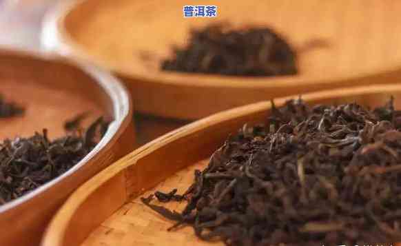 普洱茶不存在茶香：正常现象还是品质疑问？