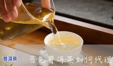 百色普洱茶代理条件是什么？详细解析