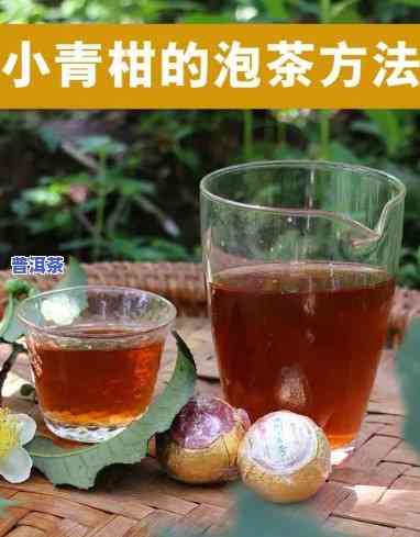 小甘橘普洱茶怎么冲泡，「小甘橘普洱茶」的正确冲泡方法！