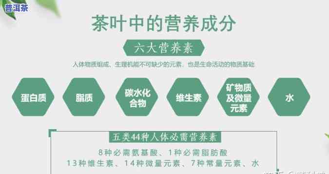 普洱茶含有蛋白质吗，普洱茶是不是富含蛋白质？探讨其营养成分