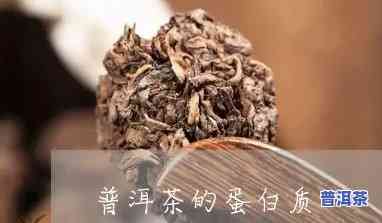 普洱茶中有蛋白质吗-普洱茶中有蛋白质吗能喝吗