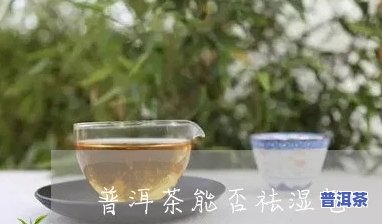 普洱茶是不是能去湿？