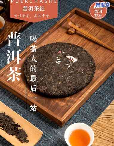 普洱茶茶饼价格，探寻普洱茶的魅力：茶饼价格解析与选购指南