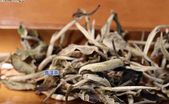 普洱茶金毫品质怎样？口感好喝吗？详解这类茶叶的特点与品质