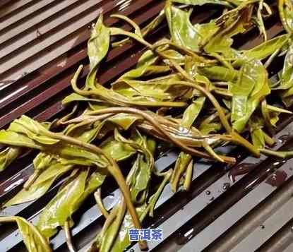 普洱茶茶根：好吃还是不好吃？