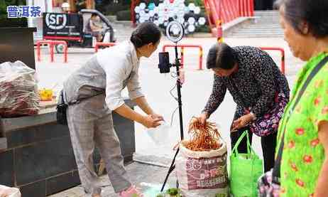 普洱茶根是什么：形态、颜色全揭秘