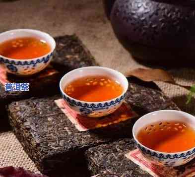 普洱茶代理，独家代理：探索高品质普洱茶的世界