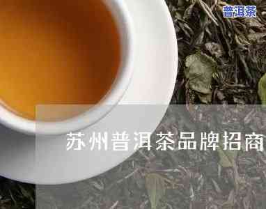 江苏普洱茶招商代理-普洱茶代理