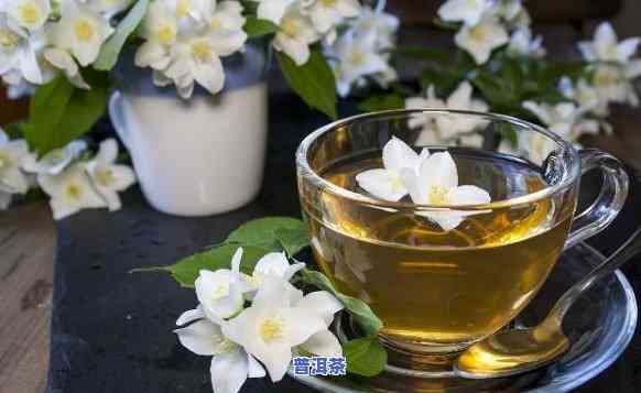 茉莉花配普洱茶，芬芳与醇厚的完美结合：茉莉花配普洱茶