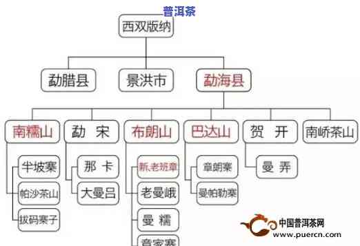 探索普洱茶：产地、茶名与精美图片全解析