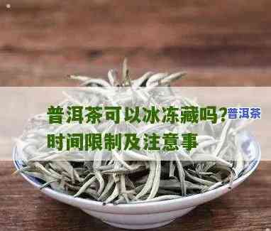 普洱茶放冷冻还能喝吗有吗能喝吗，普洱茶冷冻后是不是安全饮用？有害吗？