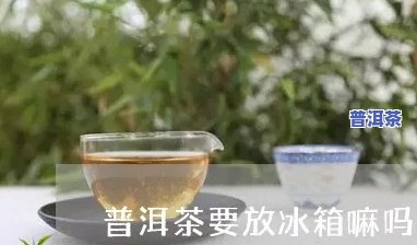 普洱茶放冰箱冷冻后怎么办，普洱茶冷冻后解决方法