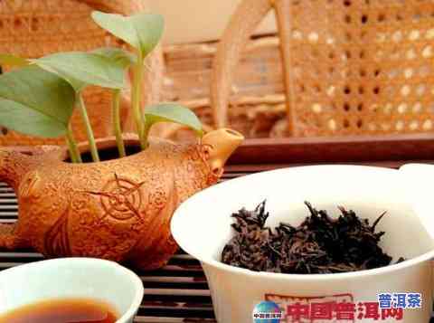 三明普洱茶加盟条件-三明普洱茶加盟条件是什么