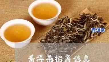 百色高端普洱茶招商-百色高端普洱茶招商电话