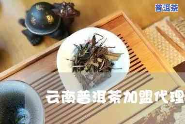 普洱茶代理加盟费用明细：需要多少钱？全解答！