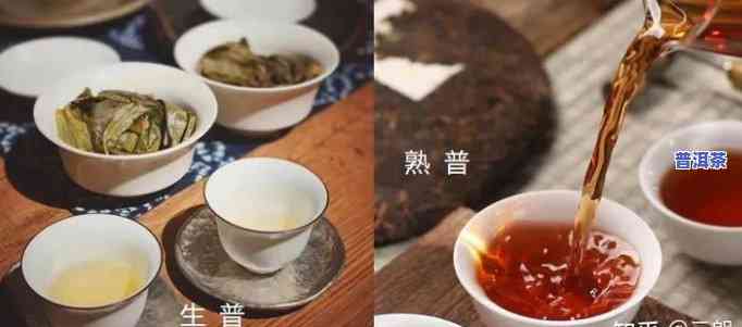 云南普洱茶批发茶叶加盟，寻找商机：云南普洱茶批发及茶叶加盟机会