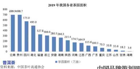 经济环境分析普洱茶市场：前景与挑战