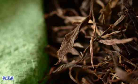 普洱茶微观环境分析，深入解析：普洱茶的微观环境作用因素