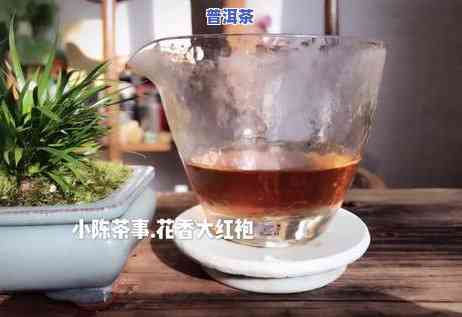 岩茶和普洱茶，品鉴不凡：岩茶与普洱茶的异同与魅力