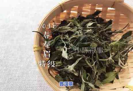 岩茶和普洱茶，品鉴不凡：岩茶与普洱茶的异同与魅力