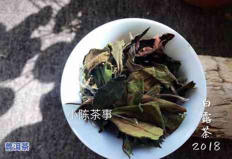 岩茶和普洱茶，品鉴不凡：岩茶与普洱茶的异同与魅力