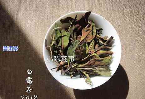 岩茶跟普洱茶有不存在可比性呢-岩茶跟普洱茶有不存在可比性呢区别