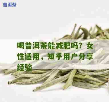 每天喝普洱茶可以减肥吗女性，女性每天喝普洱茶能减肥吗？科学解析与实用建议