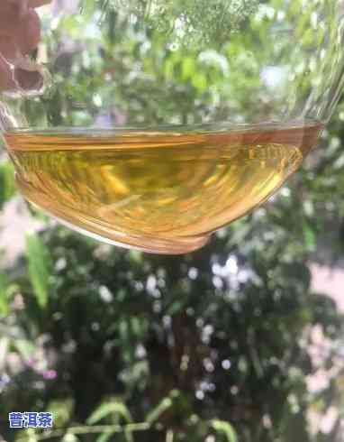 普洱茶的水有多深，深入探索普洱茶的世界：水有多深？