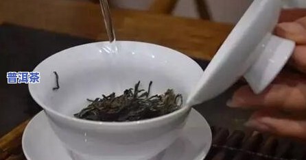 普洱茶的水温控制：多少度最合适？