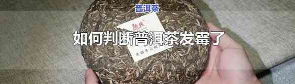 普洱茶发霉包装特点：识别与解决方法