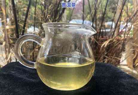 蛮砖古树茶实际1300左右，揭秘：蛮砖古树茶的实际价格约在1300元左右！