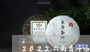 2022年云南普洱茶收货价-2022年云南普洱茶收货价格