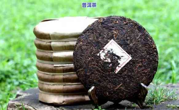 用什么容器储存普洱茶饼更好-用什么容器储存普洱茶饼更好呢