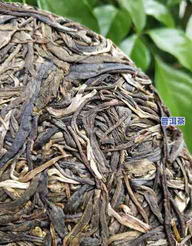 古树茶普洱生茶价格2017年多少钱？一斤、一盒的价格是多少？