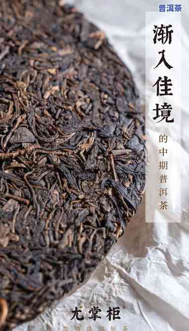 万木沉香老班章普洱茶好不好，深度解析：万木沉香老班章普洱茶的品质与口感