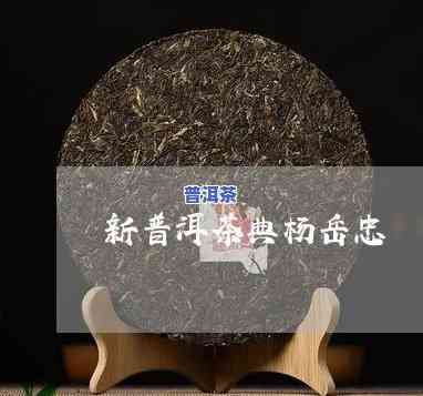 普洱茶大师杨华忠的茶：口感怎样？好喝吗？网友评价视频分享